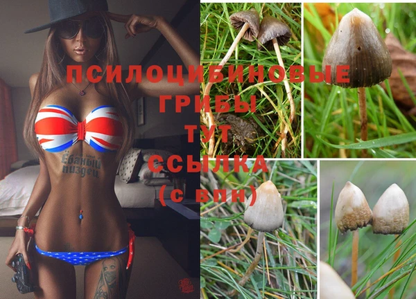 героин Алзамай