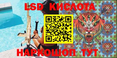 индика Тверь