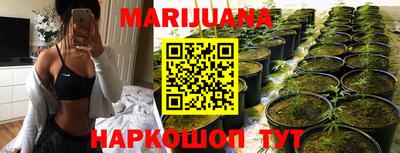 индика Тверь