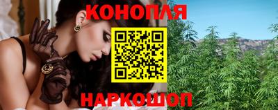 МДПВ Татарск