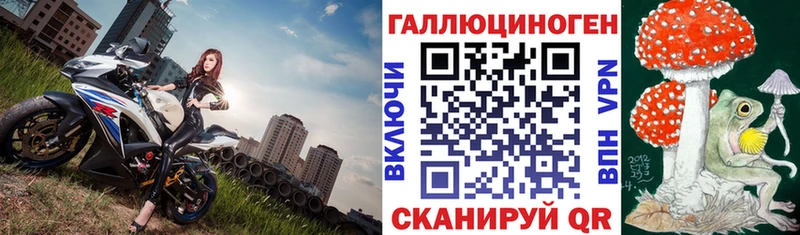 как найти закладки  Петропавловск-Камчатский  мега ССЫЛКА  Псилоцибиновые грибы прущие грибы 