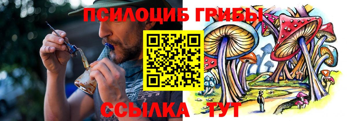 Псилоцибиновые грибы мицелий  Вход с VPN  Петропавловск-Камчатский 