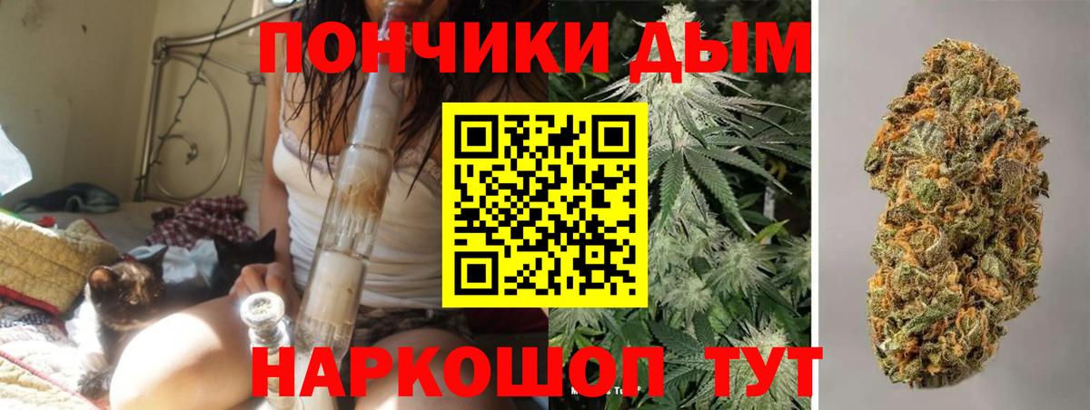 Каннабис тримм  Вход с VPN  МАРИХУАНА Bruce Banner  МАРИХУАНА Amnesia  Петропавловск-Камчатский  Марихуана LSD WEED 